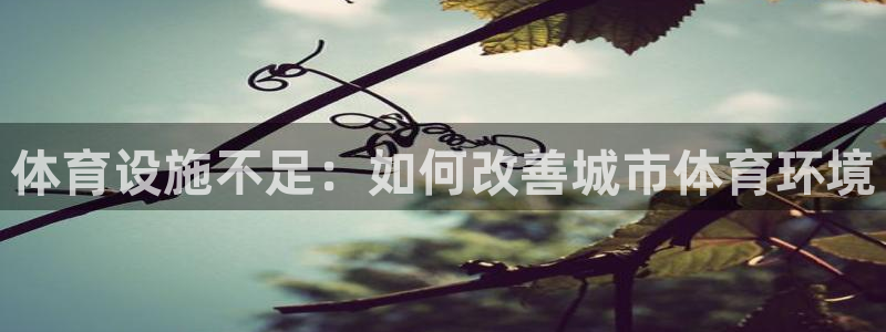 意昂4神州：体育设施不足：如何改善城市体育环境