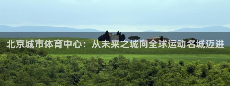 意昂4官方：北京城市体育中心：从未来之城向全球运动名城迈进 