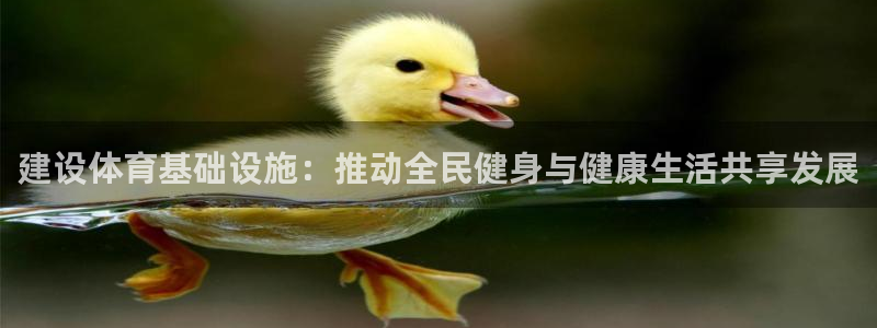 意昂体育4：建设体育基础设施：推动全民健身与健康生活共享发展