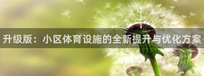 德国意昂4集团：升级版：小区体育设施的全新提升与优化方案