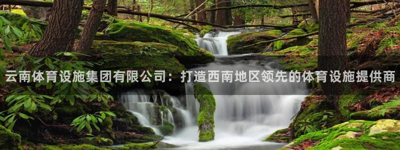 意昂4娱乐首页官网下载：云南体育设施集团有限公司：打造西南地