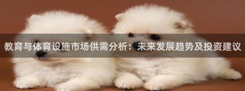 意昂体育4：教育与体育设施市场供需分析：未来发展趋势及投资建