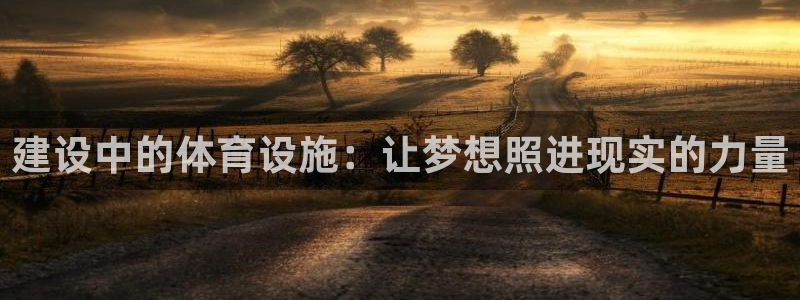 意昂4娱乐平台：建设中的体育设施：让梦想照进现实的力量