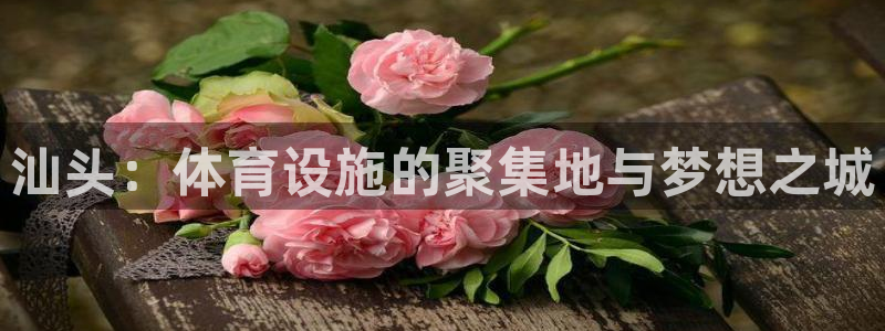 意昂4代理：汕头：体育设施的聚集地与梦想之城 