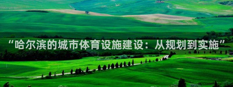 意昂4官方：“哈尔滨的城市体育设施建设：从规划到实施