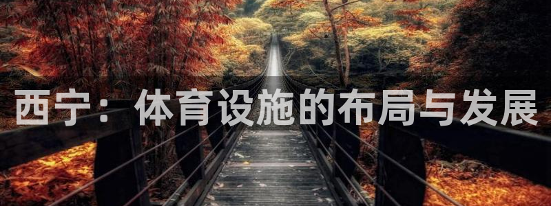 意昂4娱乐首页网站大全：西宁：体育设施的布局与发展