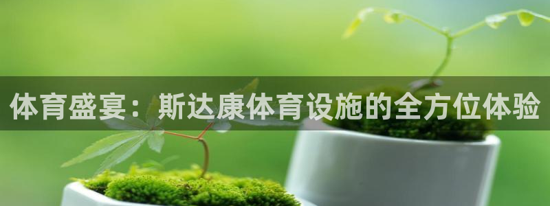 意昂4集团E.ON：体育盛宴：斯达康体育设施的全方位