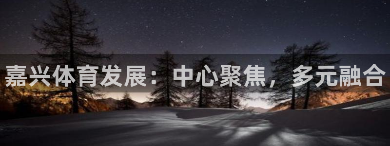 意昂体育4招商电话号码：嘉兴体育发展：中心聚焦，多元