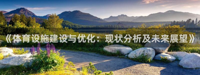 意昂体育4注册：《体育设施建设与优化：现状分析及未来