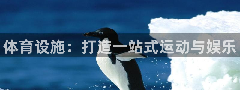 意昂体育4是干嘛的公司：体育设施：打造一站式运动与娱