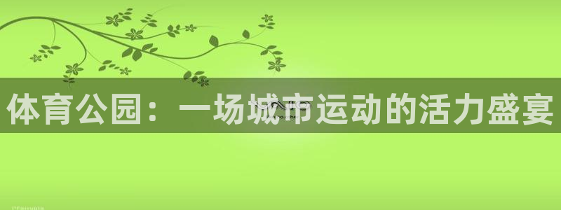 意昂平台体育：体育公园：一场城市运动的活力盛宴