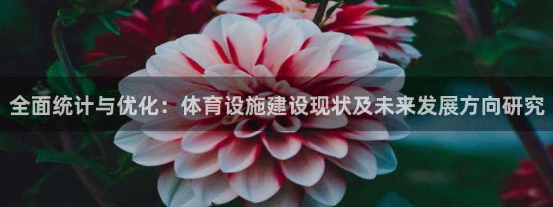 意昂体育4招商电话号码是多少号：全面统计与优化：体育