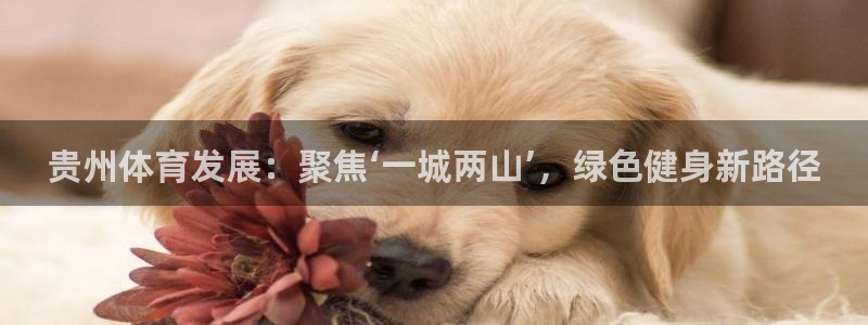 意昂4娱乐平台：贵州体育发展：聚焦‘一城两山’，绿色