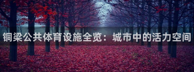意昂4娱乐下载：铜梁公共体育设施全览：城市中的活力空