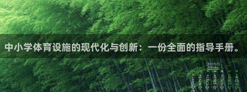意昂4官网：中小学体育设施的现代化与创新：一份全面的