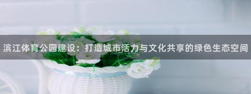 意昂体育4平台注册流程图：滨江体育公园建设：打造城市