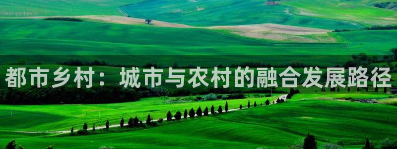 意昂4科技：都市乡村：城市与农村的融合发展路径