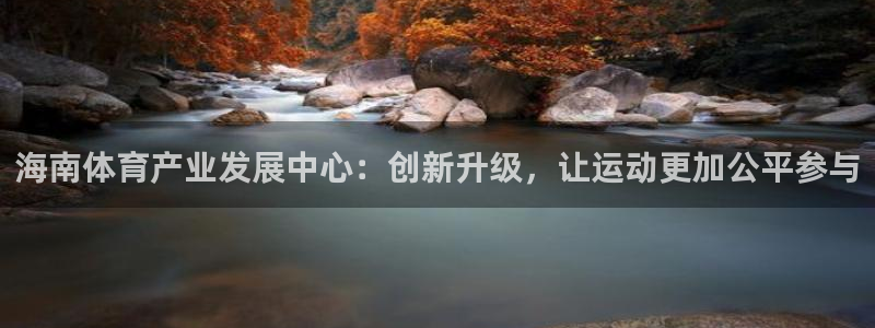 意昂体育4软件：海南体育产业发展中心：创新升级，让运