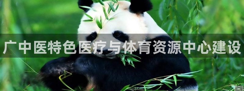 意昂体育4招商电话地址：广中医特色医疗与体育资源中心