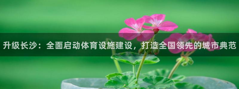 意昂体育4招商电话：升级长沙：全面启动体育设施建设，