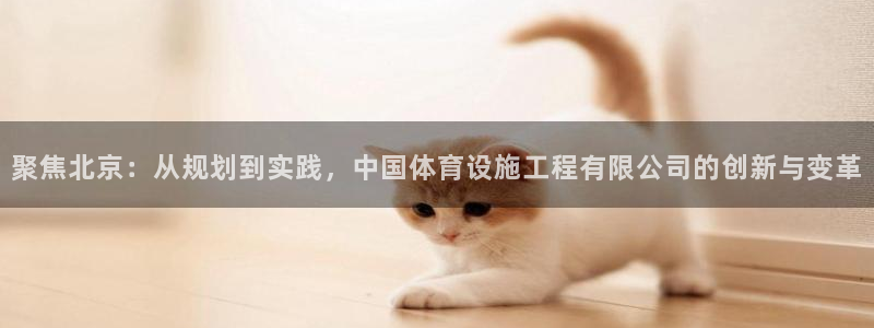 意昂体育4招商电话地址是多少：聚焦北京：从规划到实践