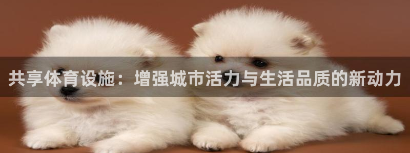 意昂4新能源