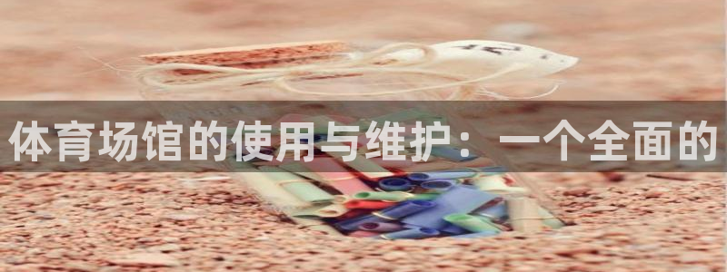 德国意昂4集团：体育场馆的使用与维护：一个全面的