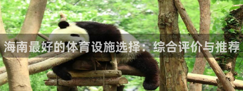 意昂4娱乐平台：海南最好的体育设施选择：综合评价与推