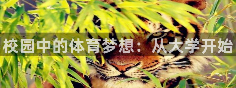 注册意昂4：校园中的体育梦想：从大学开始