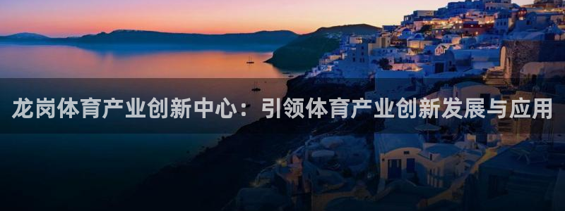 意昂4官方：龙岗体育产业创新中心：引领体育产业创新发展与应用