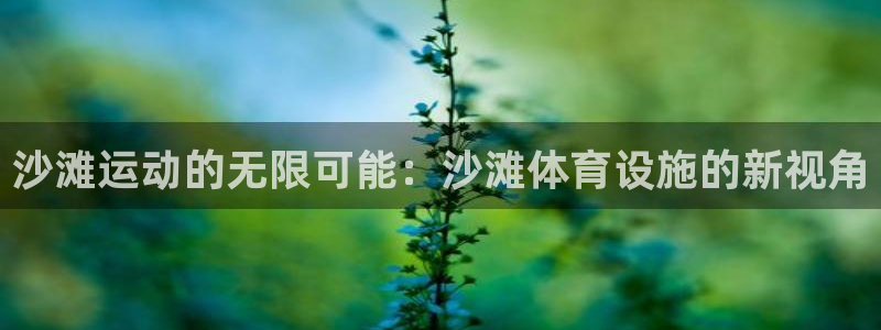意昂4娱乐网站：沙滩运动的无限可能：沙滩体育设施的新视角